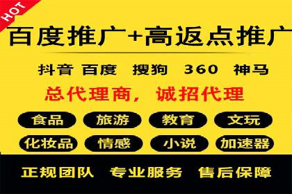 SEM竞价代运营实战技巧与案例
