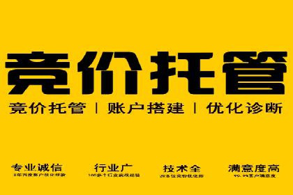 SEM代理案例：从零到一，见证品牌崛起
